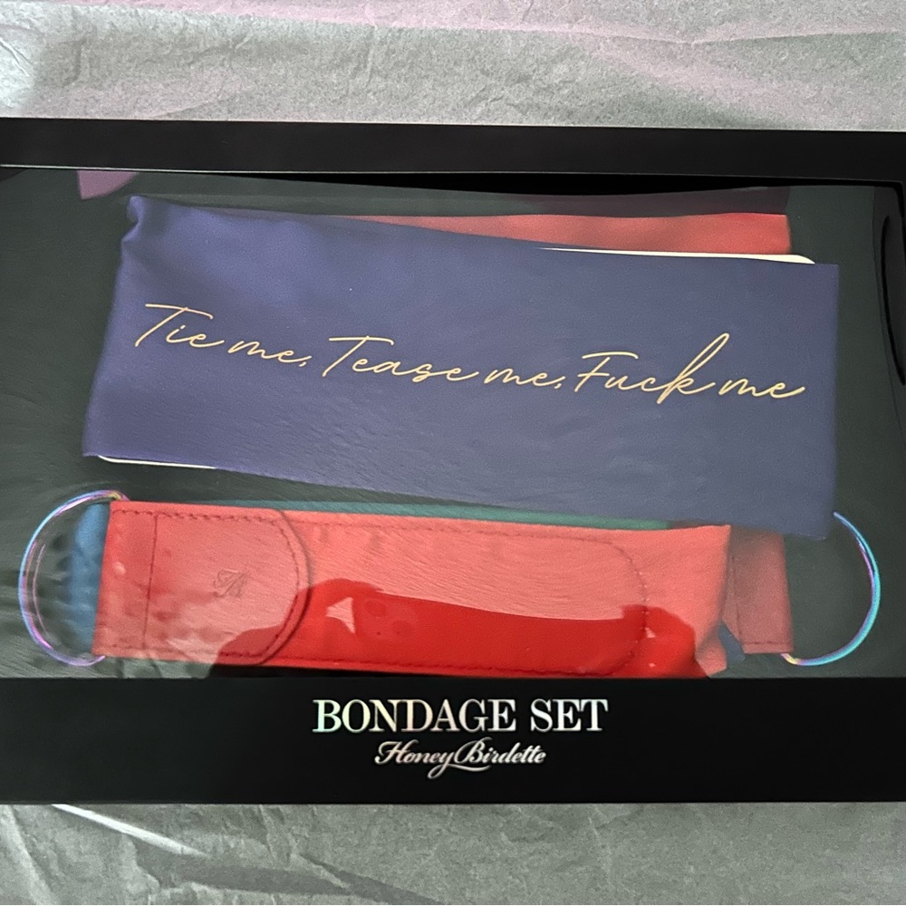 HONEY BIRDETTE Rainbow TIE ME, TEASE ME, F*** ME  bondage kit Set   NEW BOXED